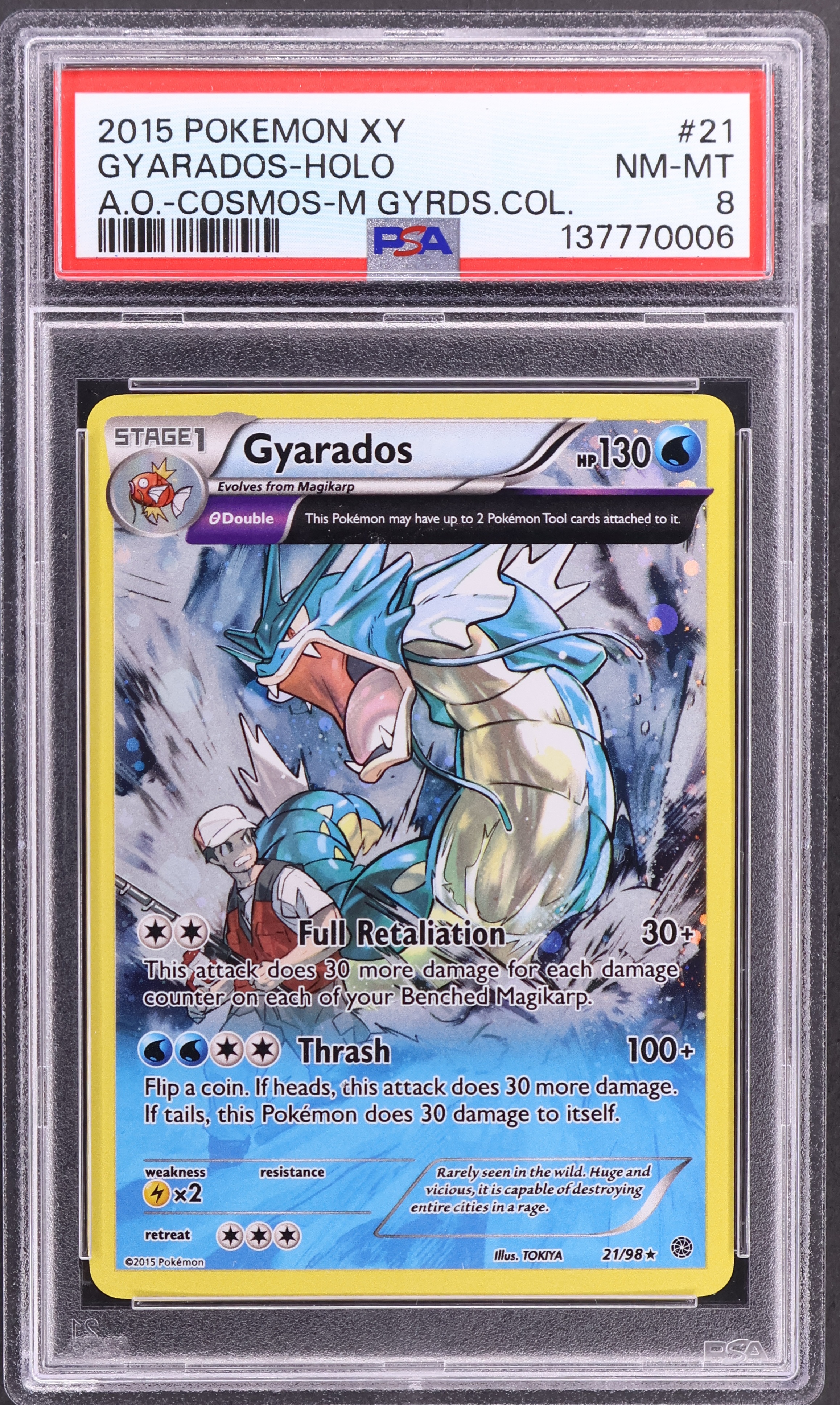 Gyarados-Holo [Cosmos-Mega Gyarados Collection]