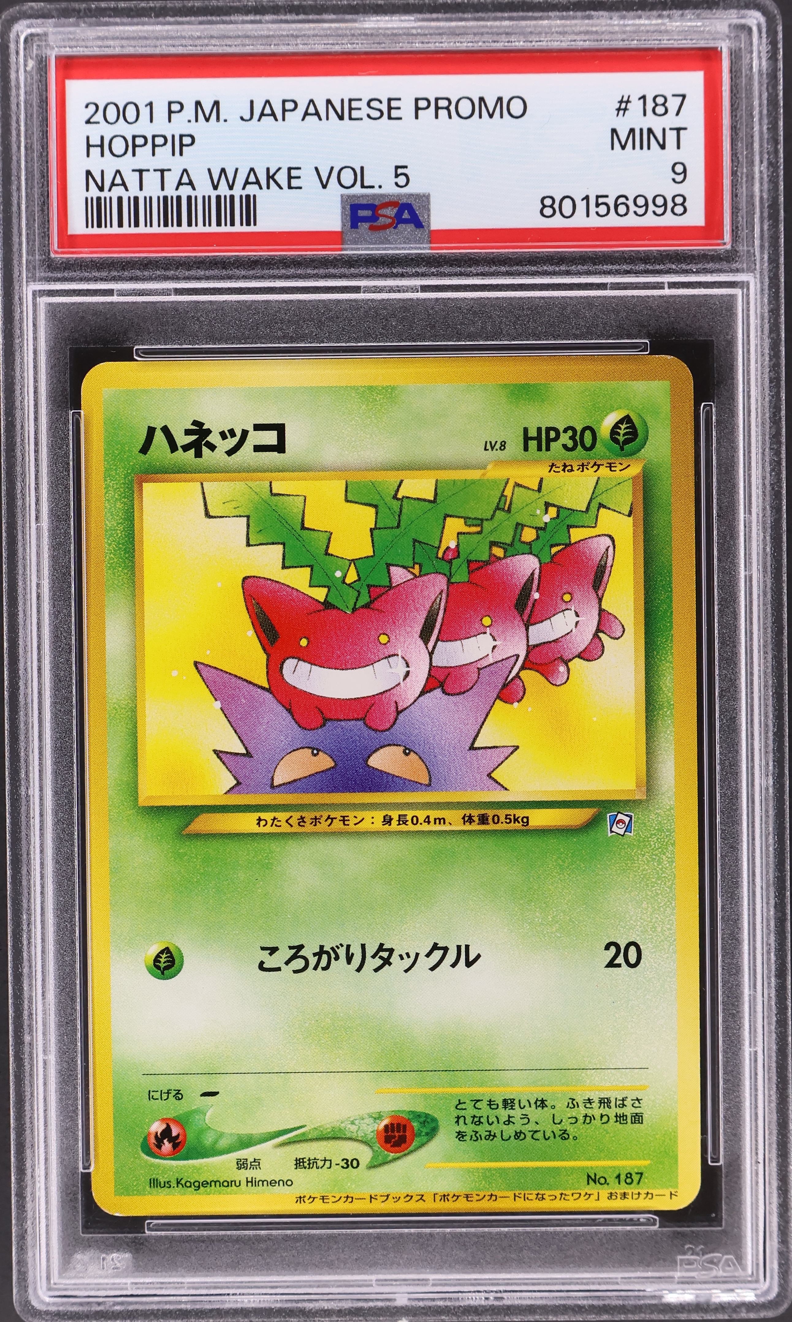 Hoppip [Natta Wake Vol. 5]